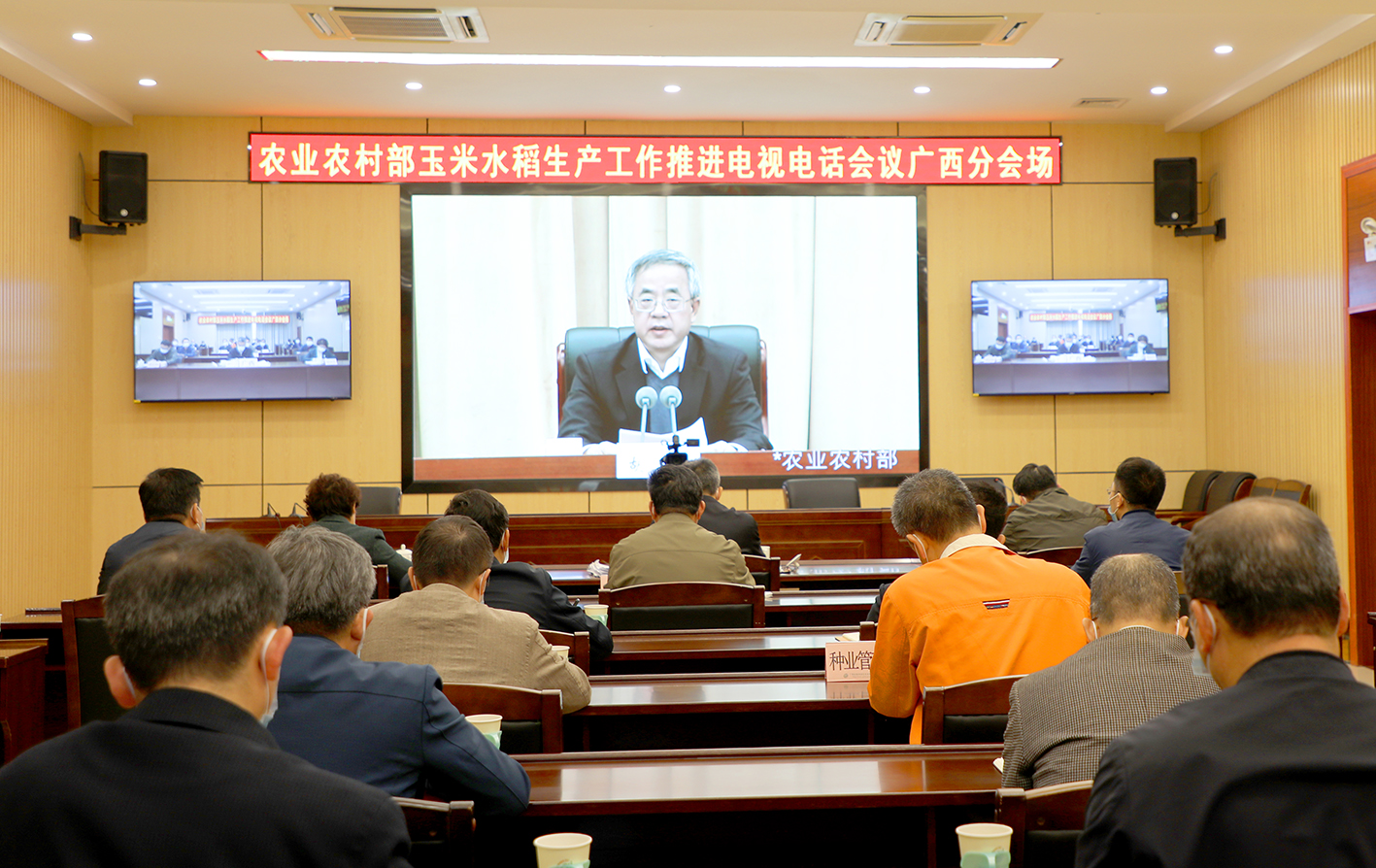 传网上2农业农村部玉米水稻生产工作推进电视电话会广西分会场.jpg