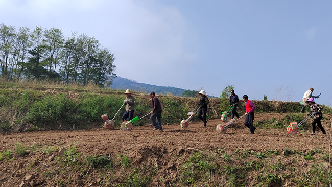 微信图片_20220507101238.jpg 微信图片_20220507101238.jpg