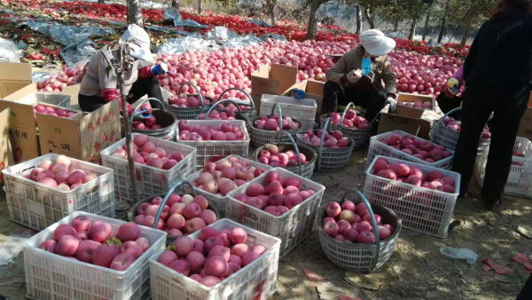 微信图片_20220512090344.jpg 微信图片_20220512090344.jpg