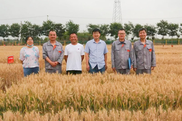 5_副本.jpg 5_副本.jpg