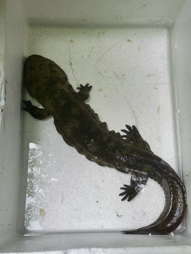 QQ图片20220602122724.jpg QQ图片20220602122724.jpg