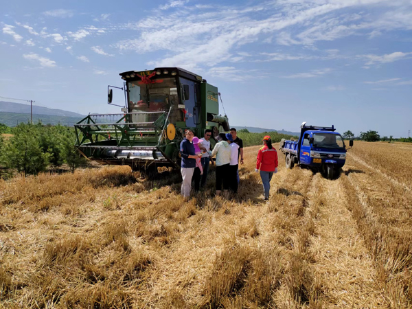 1耀州：丰疆智能农机监管平台助力三夏生产小麦颗粒归仓.jpg