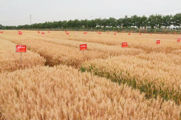 2_副本.jpg 2_副本.jpg