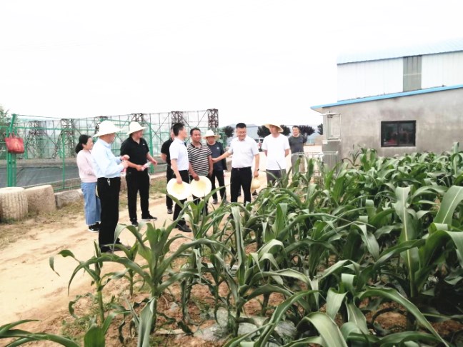 2_副本.jpg 2_副本.jpg