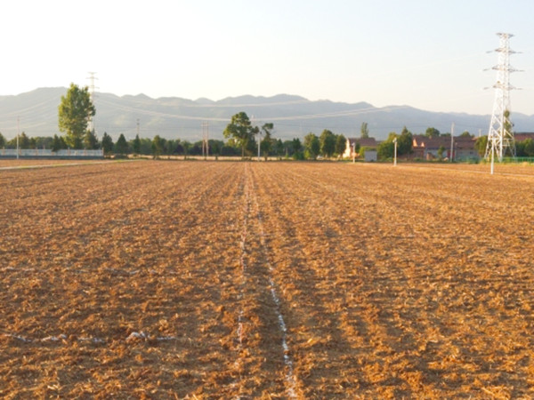 2_副本.jpg 2_副本.jpg