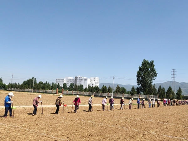 1_副本.jpg 1_副本.jpg