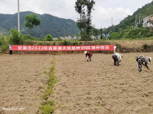 1_副本.jpg 1_副本.jpg