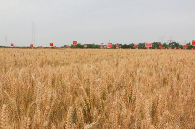 1_副本.jpg 1_副本.jpg