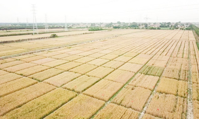 6_副本.jpg 6_副本.jpg