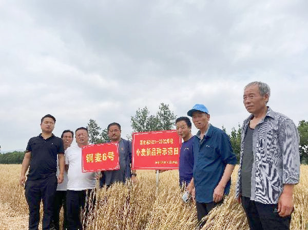 3_副本.jpg 3_副本.jpg