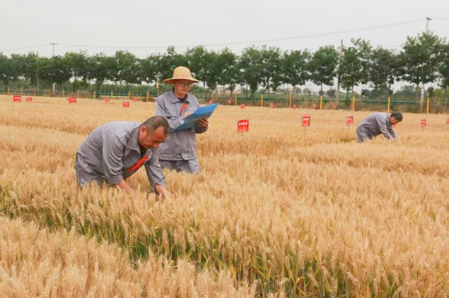 3_副本.jpg 3_副本.jpg