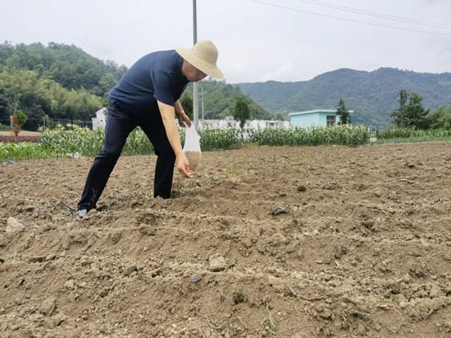 3_副本.jpg 3_副本.jpg