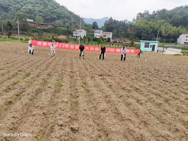 4_副本.jpg 4_副本.jpg