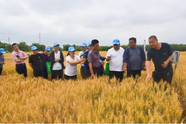 2_副本.jpg 2_副本.jpg