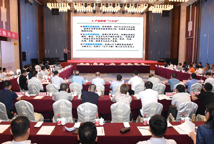 DSC_6312(1).jpg DSC_6312(1).jpg