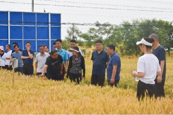 1_副本.jpg 1_副本.jpg