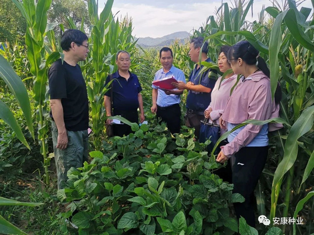 1_副本.jpg 1_副本.jpg