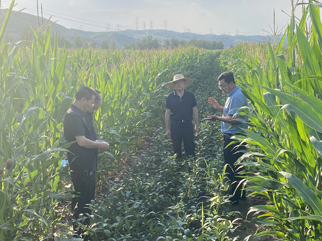 3_副本.jpg 3_副本.jpg