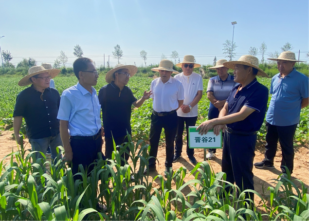 1_副本.png 1_副本.png