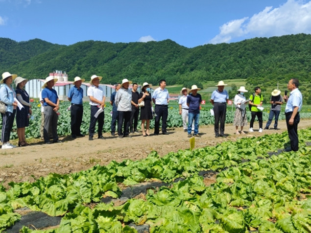 2_副本.jpg 2_副本.jpg