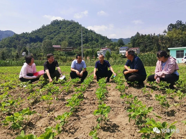 3_副本.jpg 3_副本.jpg