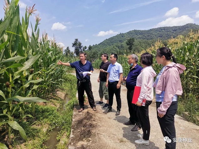 2_副本.jpg 2_副本.jpg