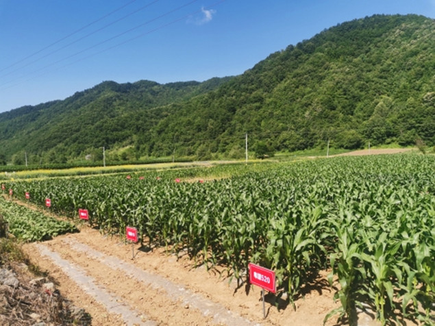 3_副本.jpg 3_副本.jpg