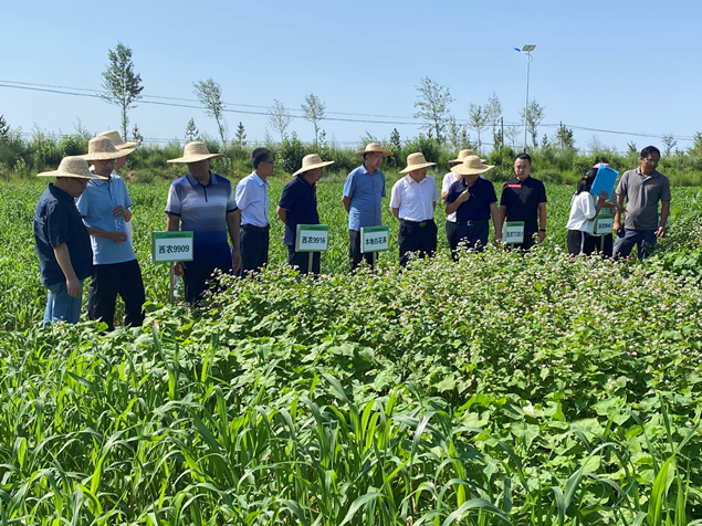 2_副本.png 2_副本.png