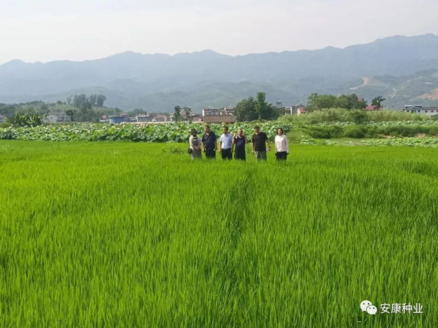 4_副本.jpg 4_副本.jpg