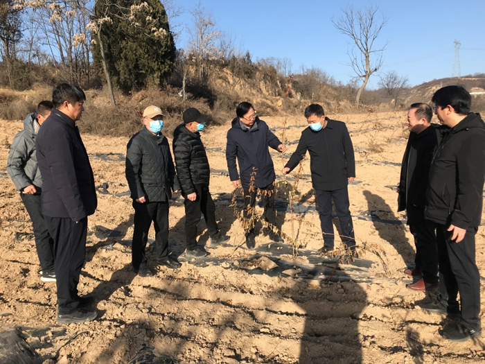 image003.jpg image003.jpg