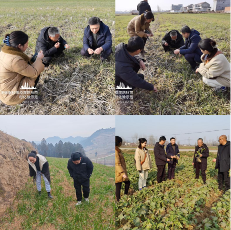 图片4.png 图片4.png