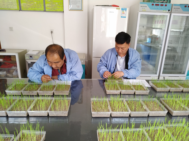 3_副本.png 3_副本.png