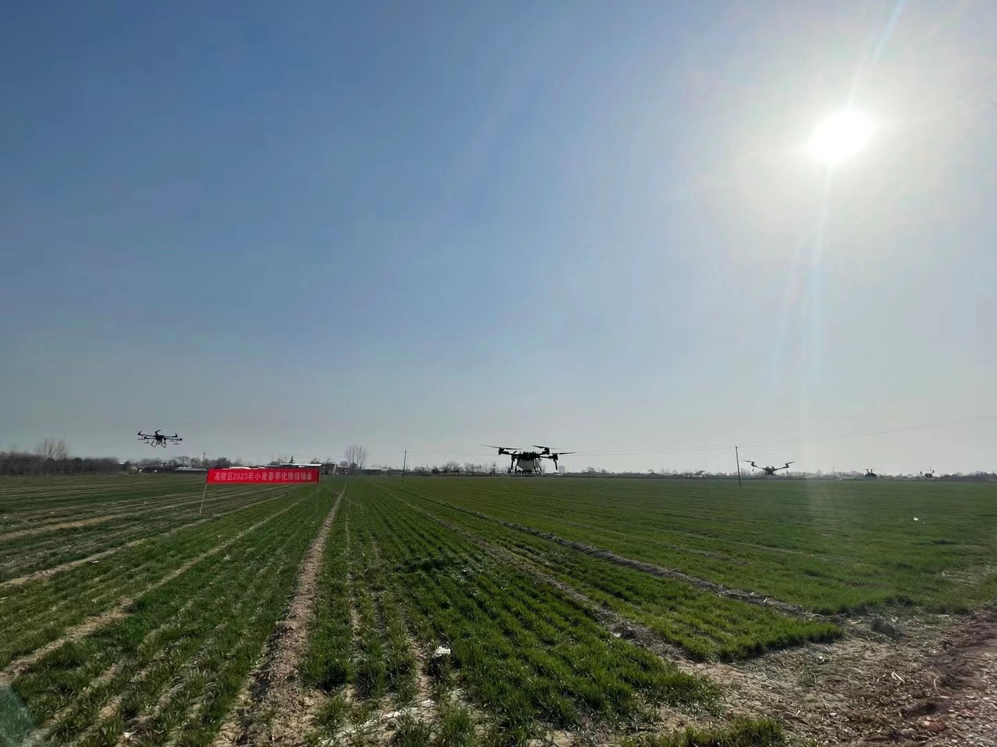 3.3高陵区麦田化除现场会3.jpg 3.3高陵区麦田化除现场会3.jpg