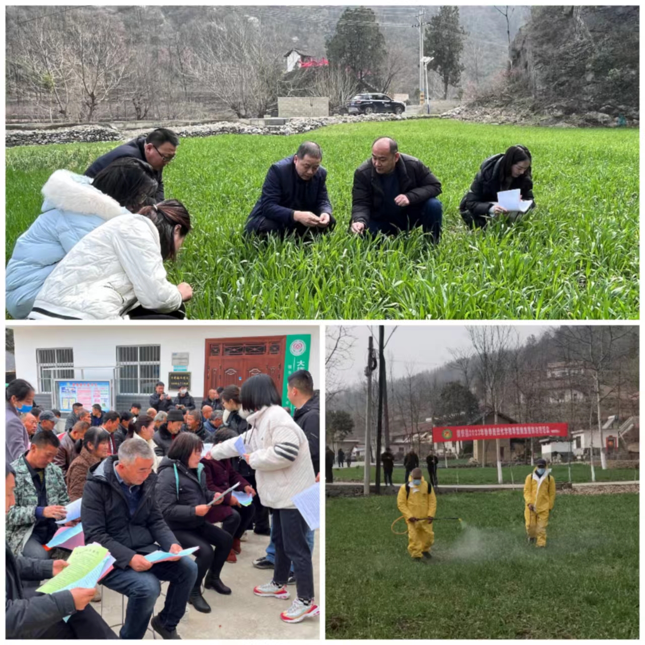 微信图片_20230301170009.jpg 微信图片_20230301170009.jpg