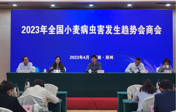省植保中心派员参加2023年全国小麦病虫害发生趋势会.png