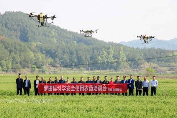 罗田科学安全用药_副本.jpg