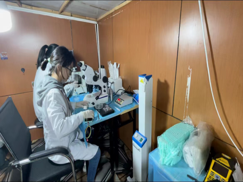 蒙古牛冷冻精液成功“穿越”10年