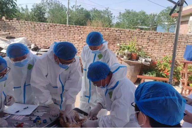 QQ图片20230926095342.jpg QQ图片20230926095342.jpg