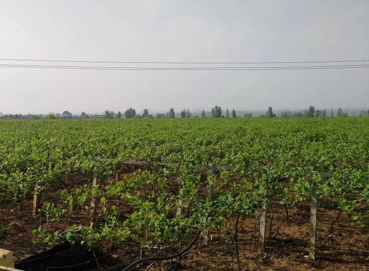 showOssFileByUrl (1).jpg