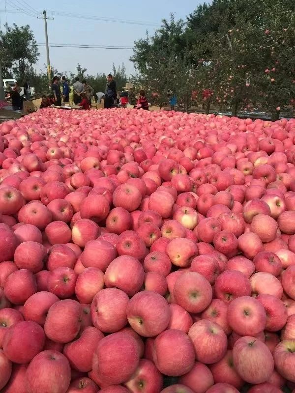 微信图片_20230922111632.jpg 微信图片_20230922111632.jpg