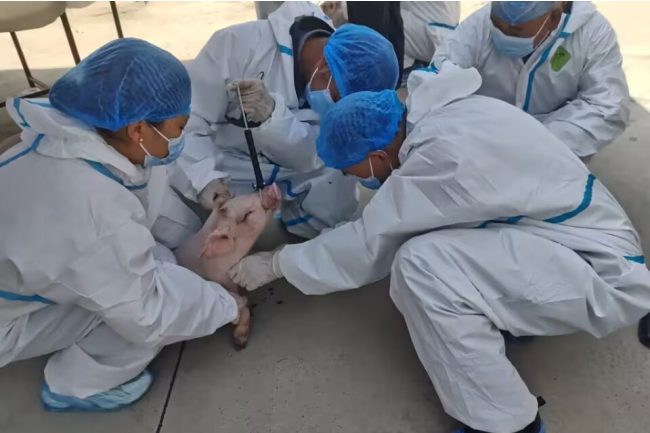 QQ图片20230926095347.jpg QQ图片20230926095347.jpg