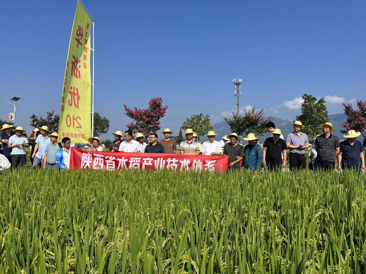 正文1694496145610_doc_1694496281693_0.jpg 正文1694496145610_doc_1694496281693_0.jpg