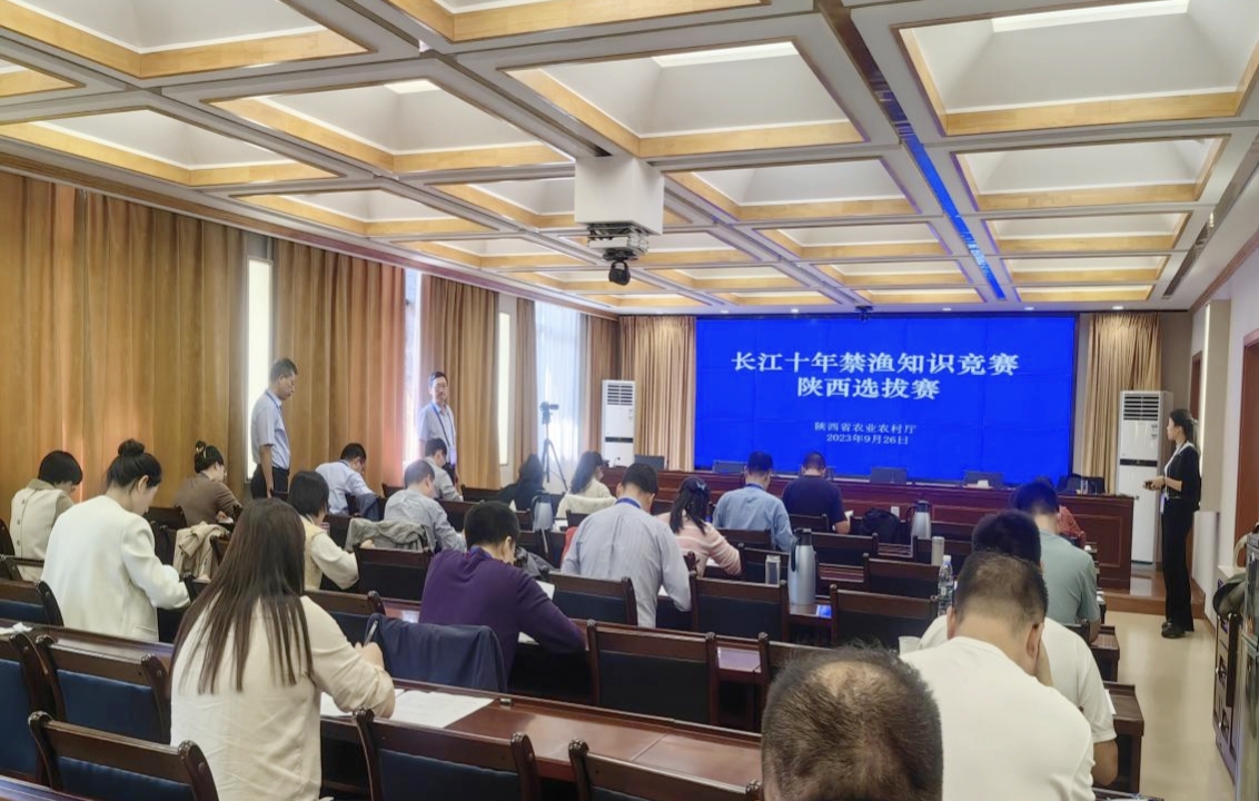 IMG_20231008_123132.jpg IMG_20231008_123132.jpg