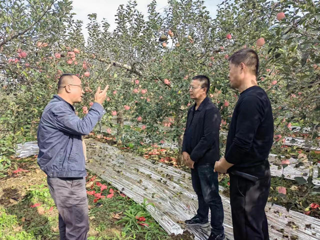 6757cb22dbe994c5a36550804894723.jpg 6757cb22dbe994c5a36550804894723.jpg