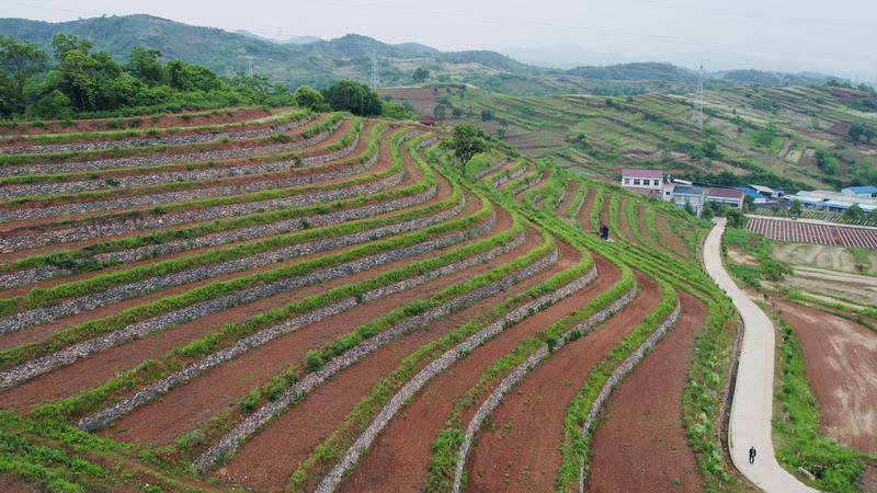 aeb753d05eee278be5f0fcf05d6ca62.png aeb753d05eee278be5f0fcf05d6ca62.png