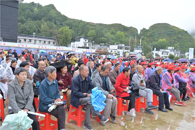 DSC_3406.JPG DSC_3406.JPG