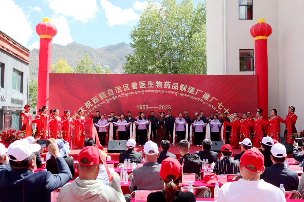 图片6 文艺汇演.jpg