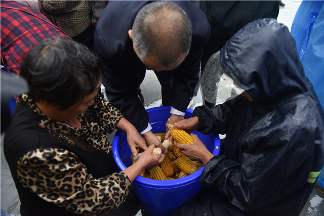 DSC_8603.JPG DSC_8603.JPG