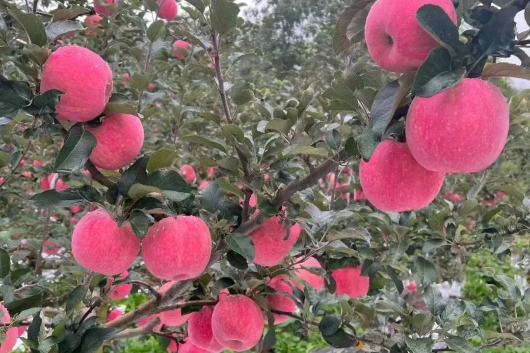 微信图片_20231020102841.jpg 微信图片_20231020102841.jpg