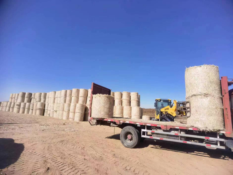 秸秆打捆离田督查工作开展情况